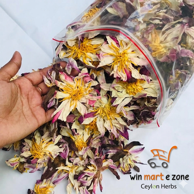 Bulk Dried White Lotus Flowers - Premium Nymphaea Ampla Botanical Tea | Ceylon Herbs