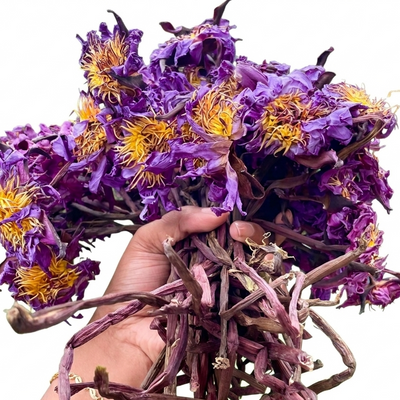 Organic Blue Lotus Flowers with Stems (Nymphaea Caerulea) - Premium Dried Herbal Tea