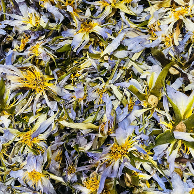 Egyptian Blue Lotus Dried Flowers (Nymphaea Caerulea) - 100% Organic Whole Flowers