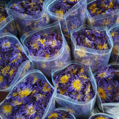 Bulk Dried Blue Lotus Flowers - Premium Nymphaea Caerulea Botanical Tea