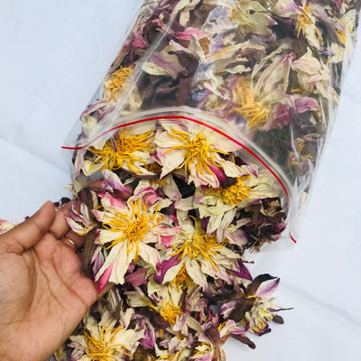 Bulk Dried White Lotus Flowers - Premium Nymphaea Ampla Botanical Tea
