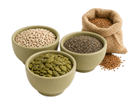 Seeds
